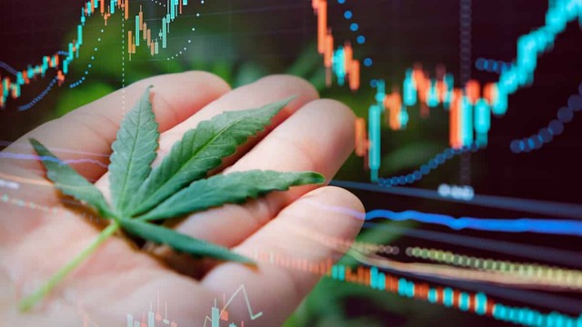 Top Marijuana Stock For Investors To Watch This Week