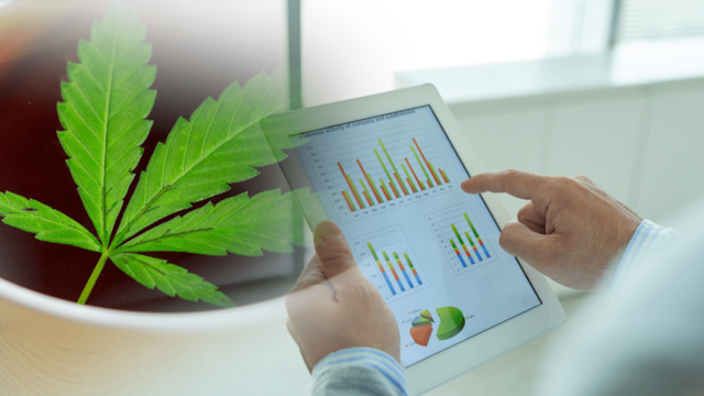 Top Marijuana Stocks For Cannabis Investing 2024