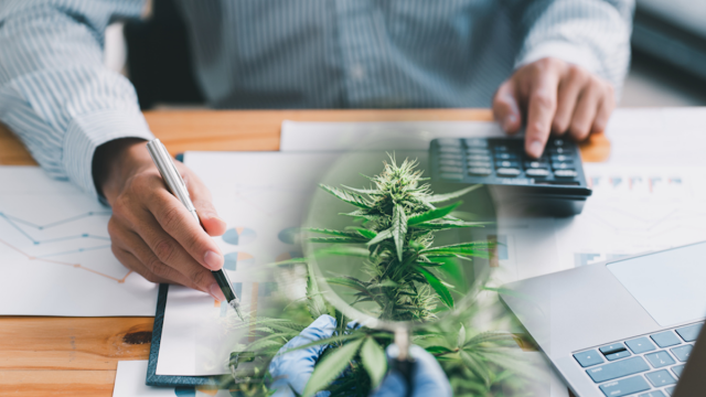 Top Marijuana Stocks For Your August Watchlist