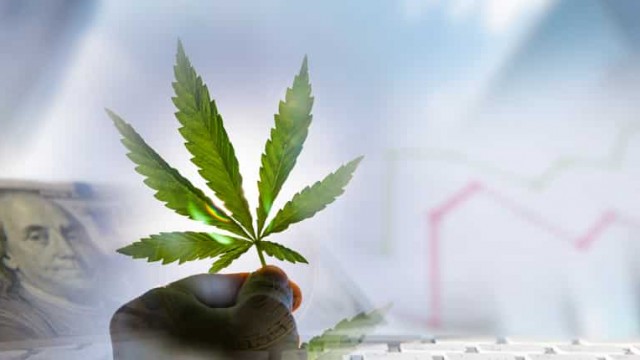 Top Marijuana Stocks To Trade This Month