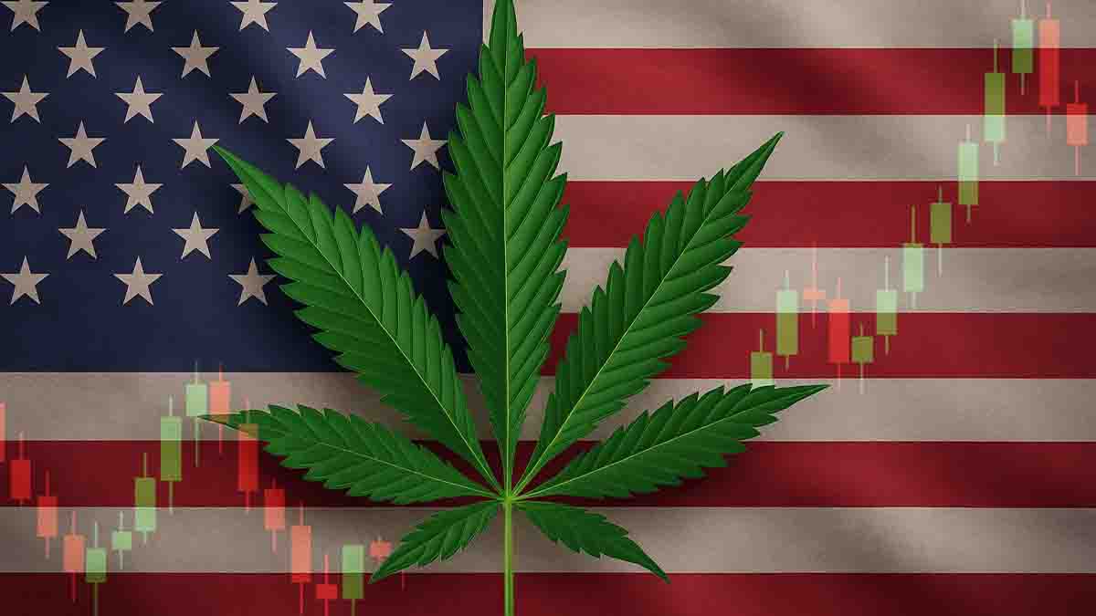 Top Marijuana Stocks to Watch as Federal Reform Advances