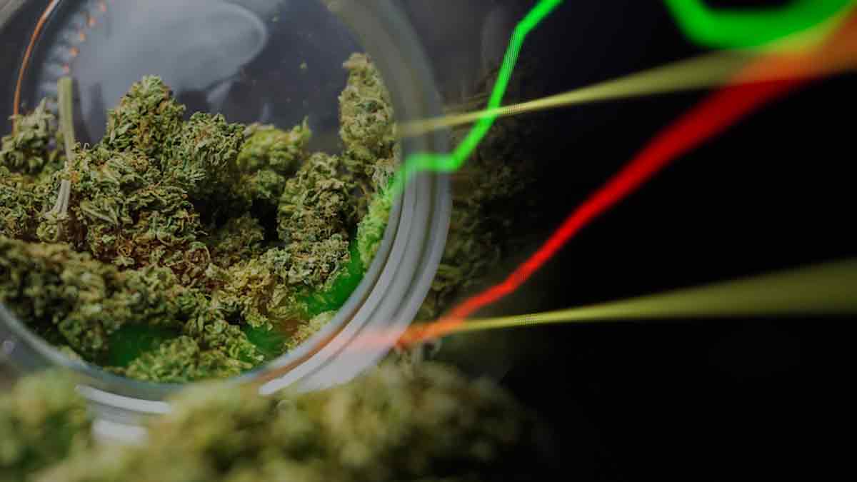 Top Marijuana Stocks To Watch In A Shifting Market