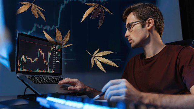 Top Marijuana Stocks to Watch in August for High Growth