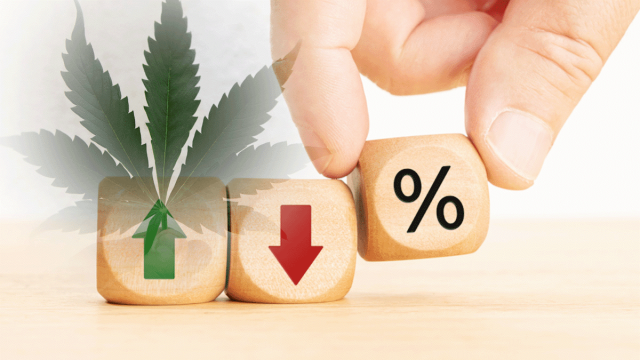 Top US Marijuana Stocks Gaining Momentum in the Last Month