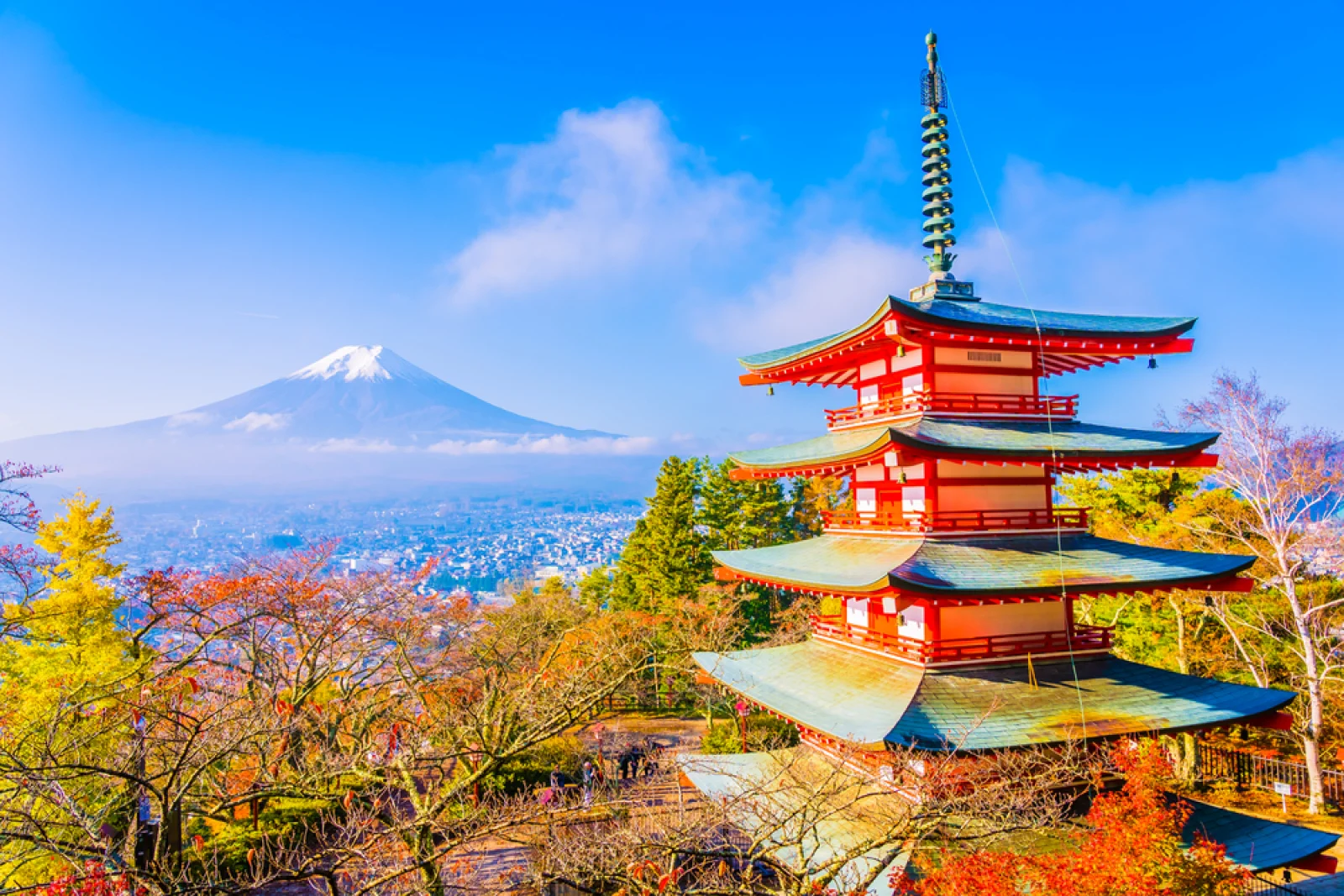Top XRP Treasury Company Doubles Down on Japan