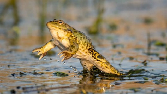 UBS leapfrogs UBS with new S&P 500 price target