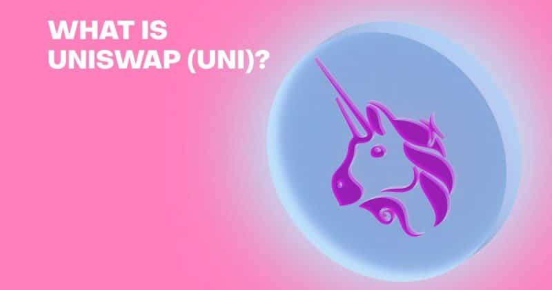 Uniswap network activity surges as whale transactions hit 7-month high