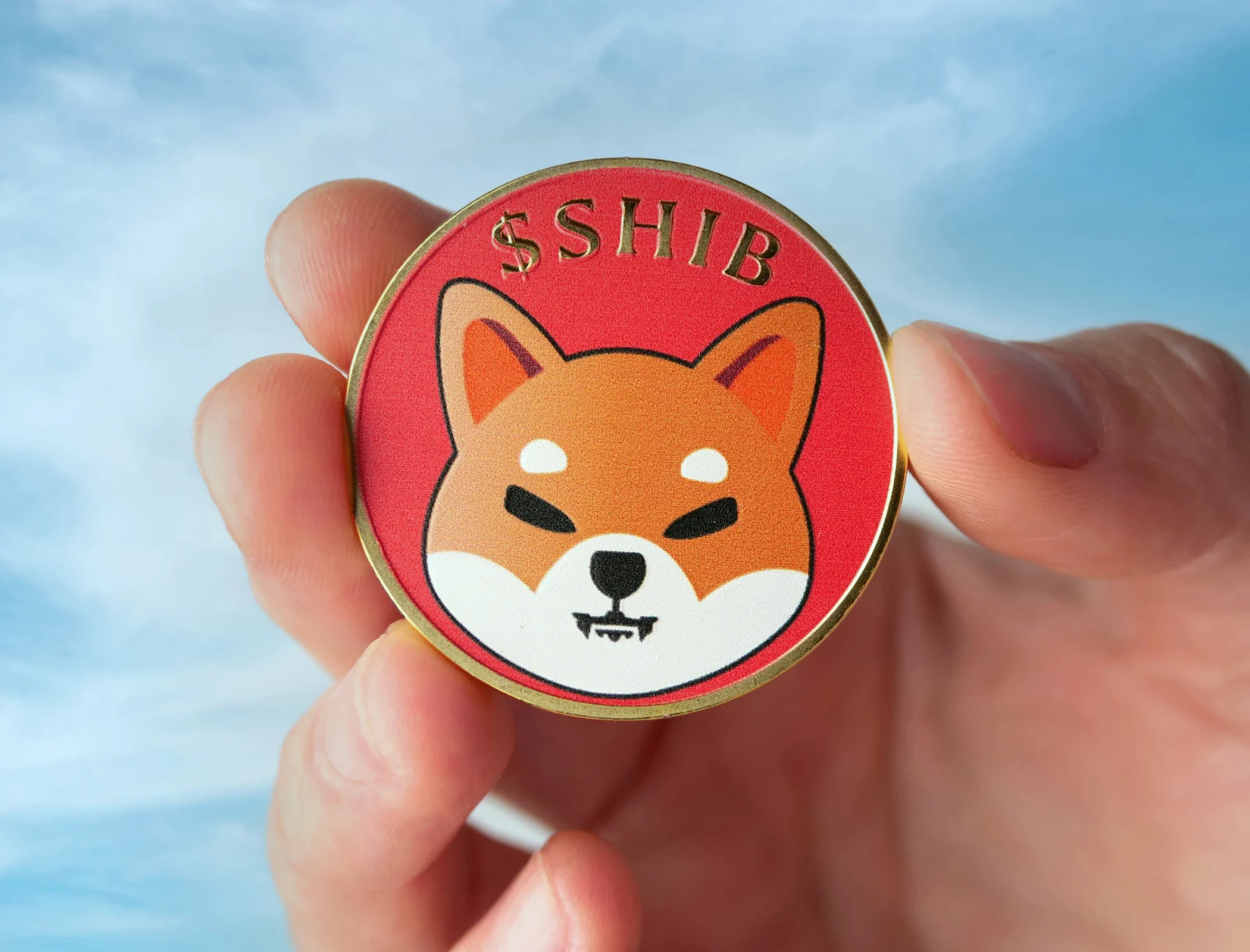Up 200%: Shiba Inu (SHIB) Crosses Billion in Average Exchange Inflows