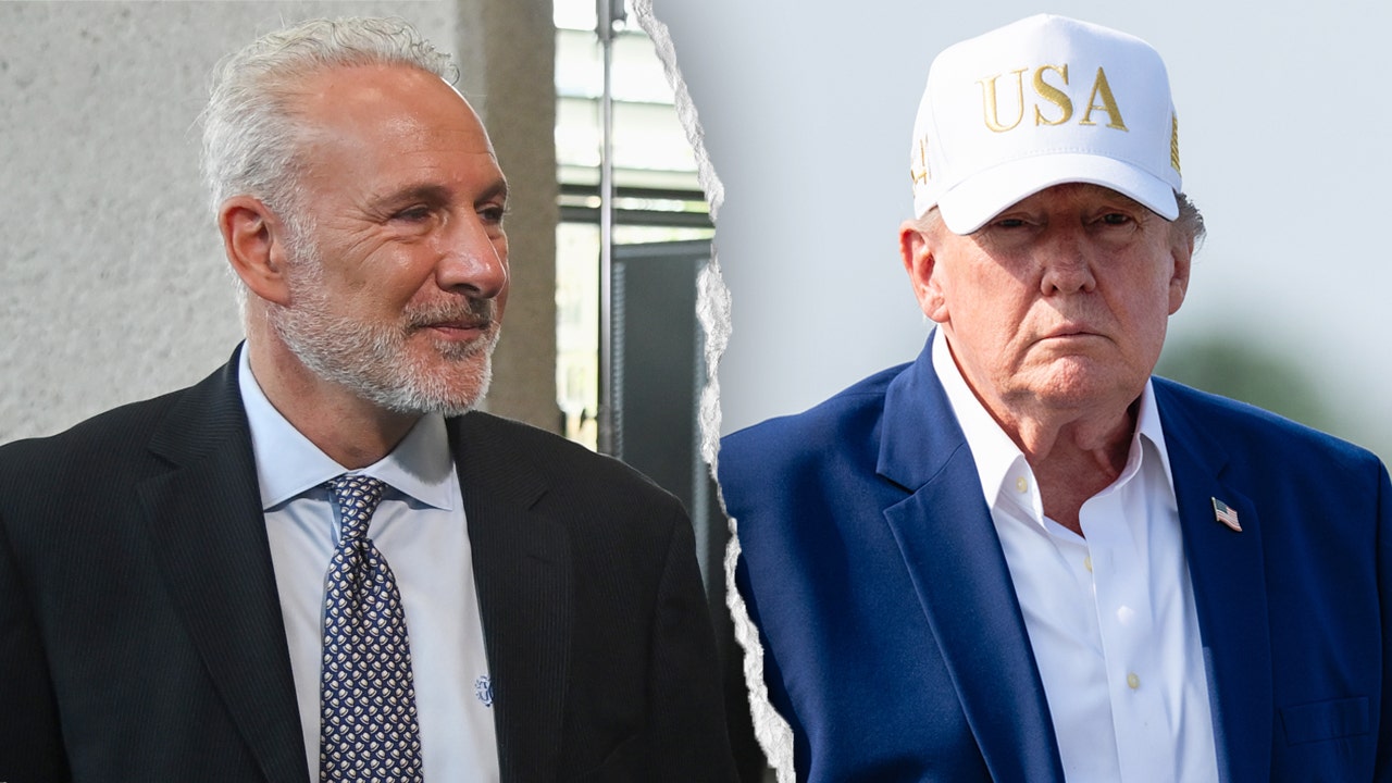 US economy 'worse' off than when Biden departed, Peter Schiff says, warning of 2028 Dem socialist 'threat'