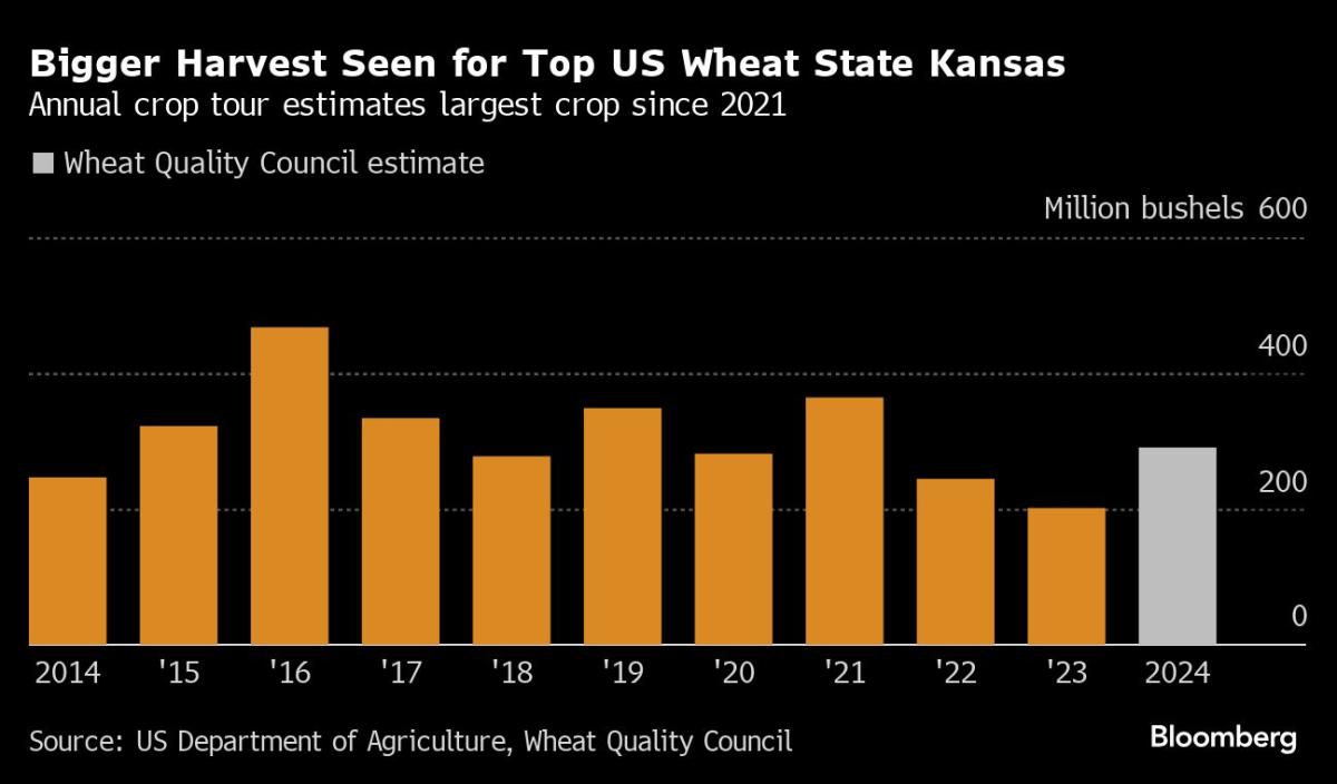 US Wheat Comes to Rescue Market Plagued by Russian Shortfall