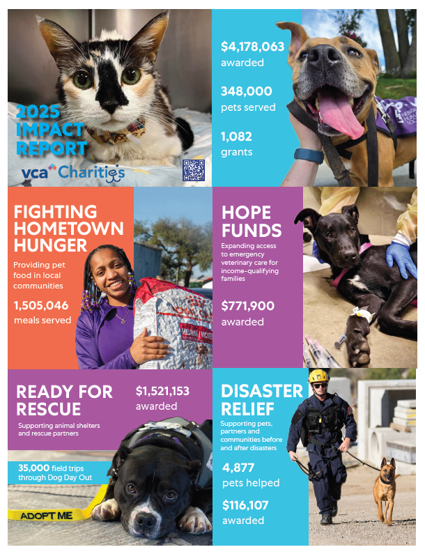 VCA Charities Releases 2025 Impact Report Celebrating Nearly $4.2 Million Granted To Help Pets Find And Remain In Loving Homes