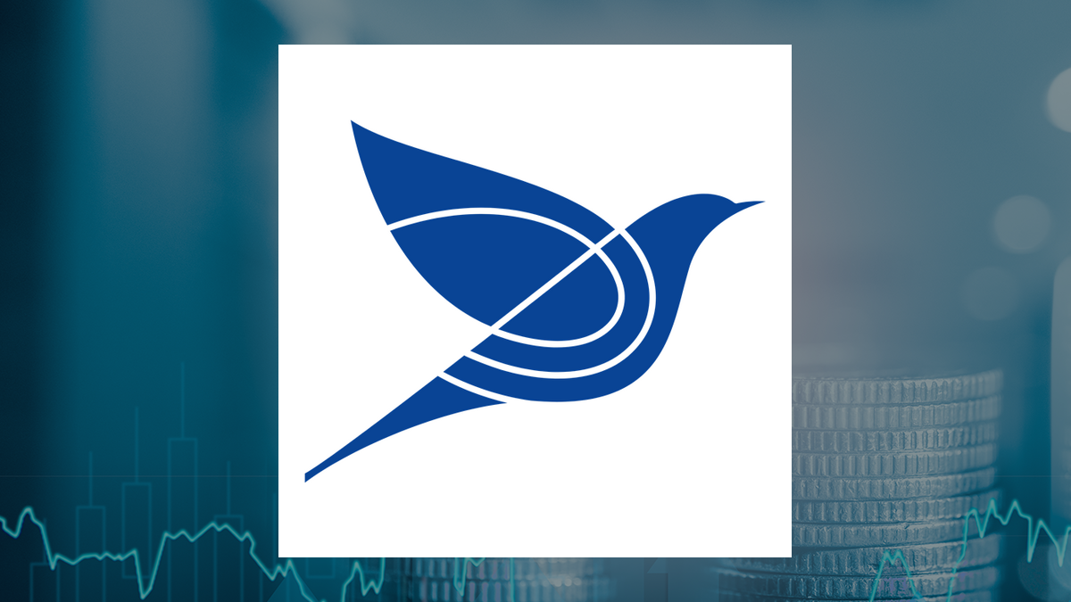 Victory Capital Management Inc. Raises Stock Position in St. Joe Company (The) $JOE