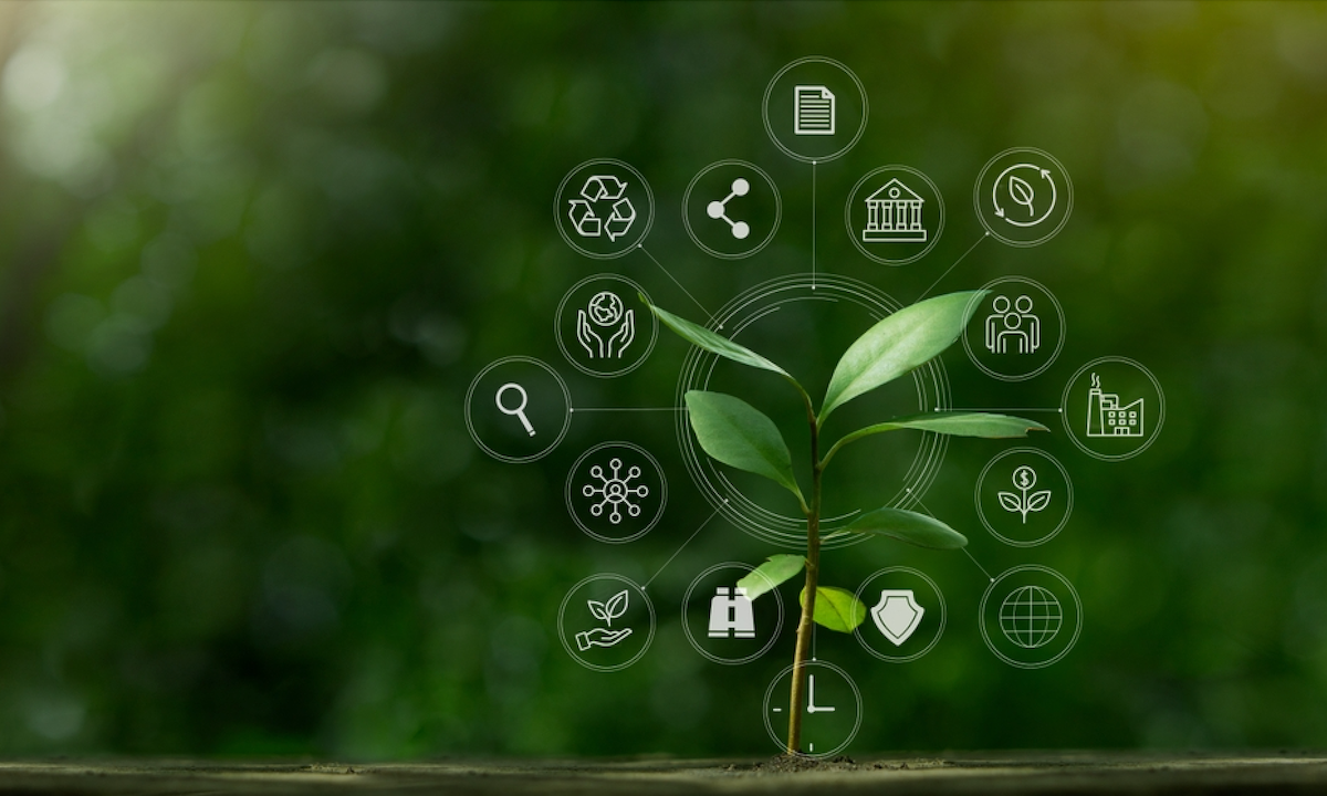 V Stock News Image - pymnts.com