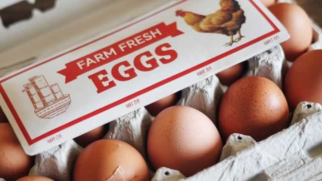Vital Farms (VITL) Beats Stock Market Upswing: What Investors Need to Know