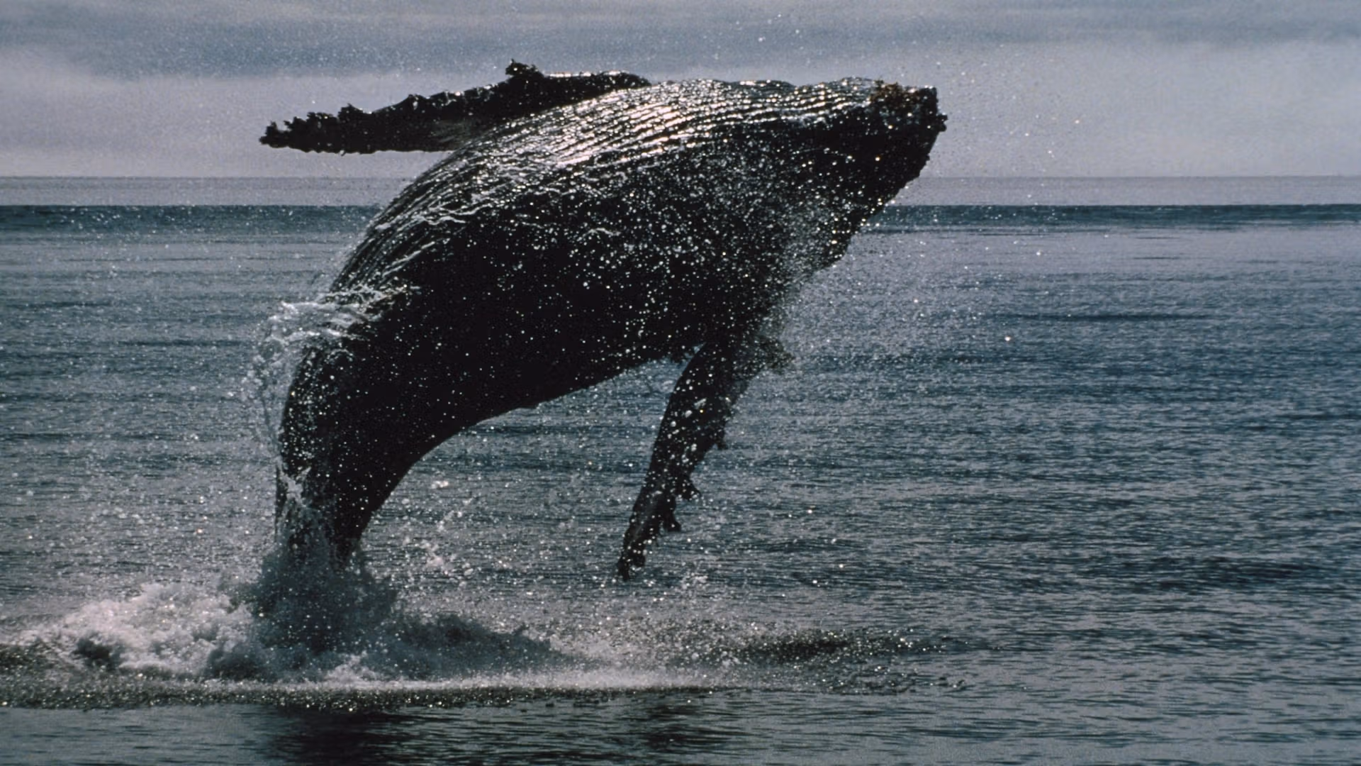 Wall Street is making it easier for bitcoin whales to ditch self-custody: report