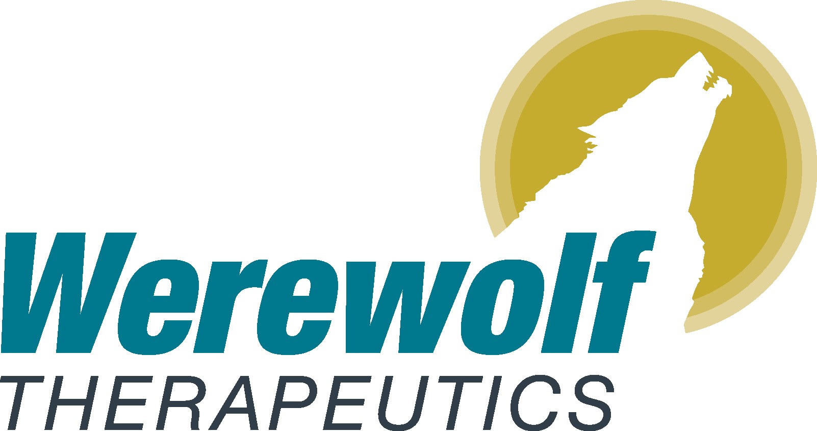Werewolf Therapeutics to Present Posters at the Society for Immunotherapy of Cancer's (SITC) 40th Annual Meeting
