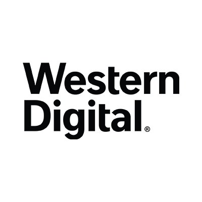 Western Digital (WDC) Faces Investor Disappointment Despite Q4 Earnings Beat