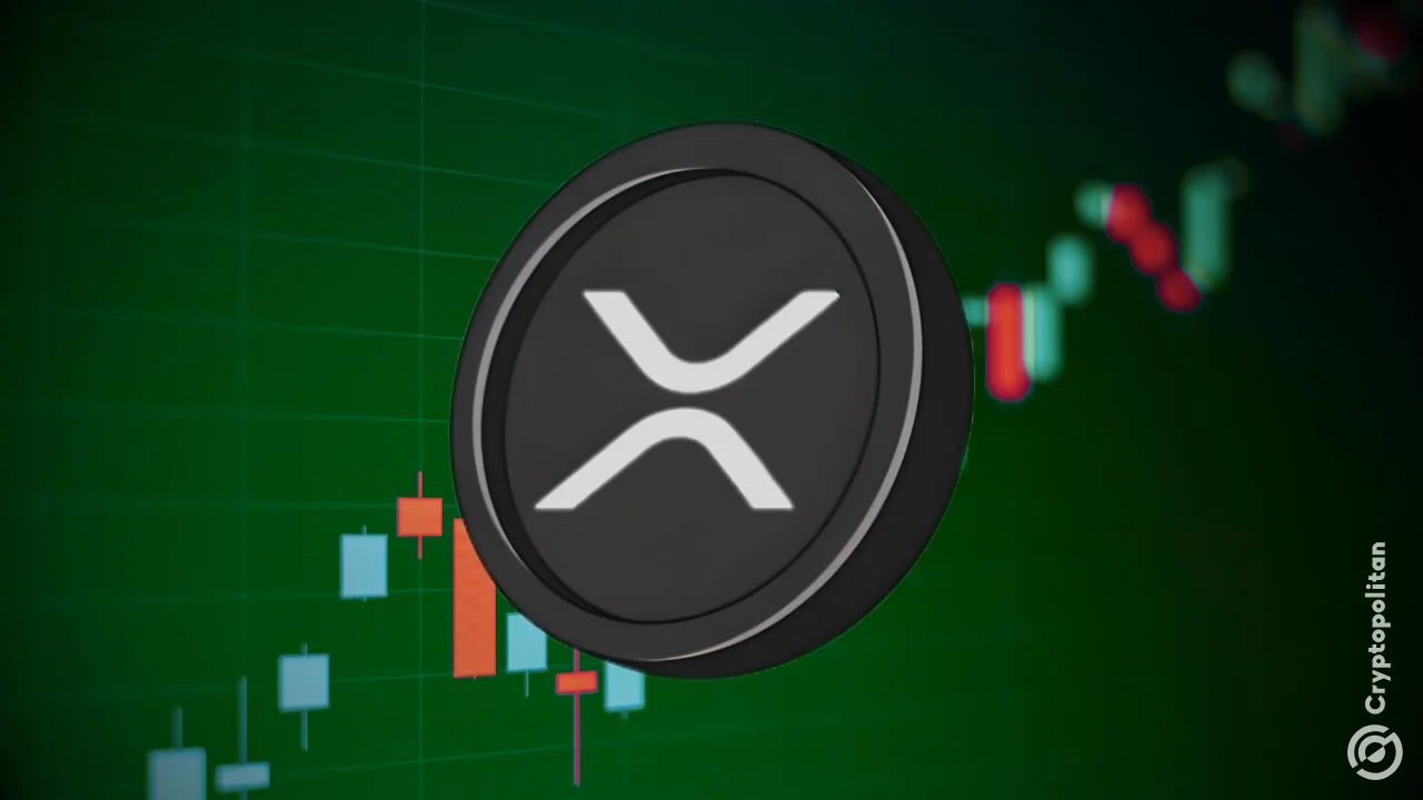 Whale Flow 30DMA shows whales are accumulating over 11 million XRP daily