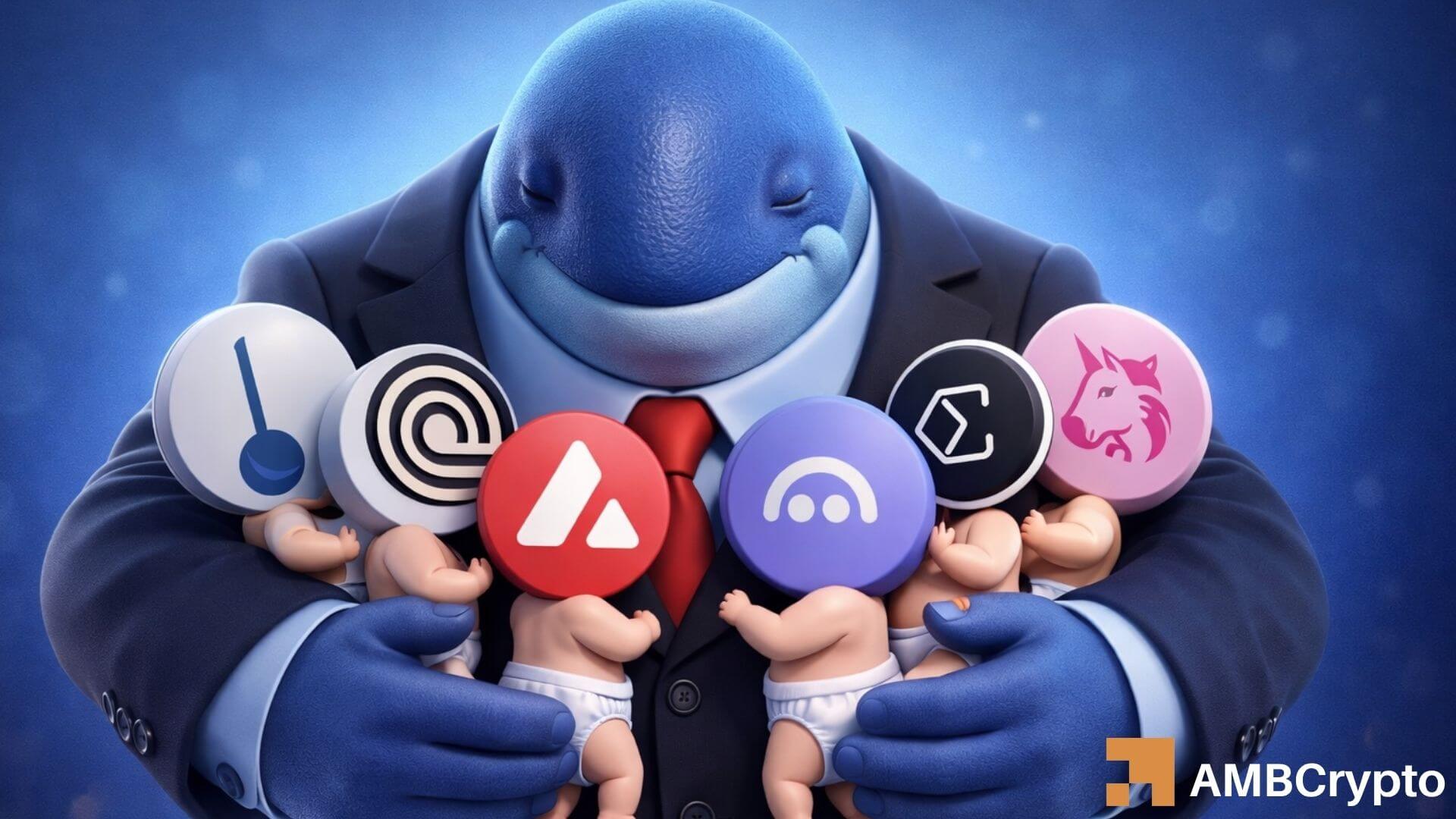 Artikelbild för Whale flyttar 16 miljoner dollar till altcoins – Är DeFi-tokens nära botten?