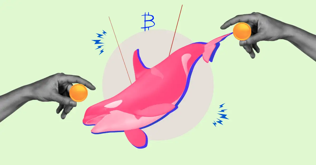 Article image for Whale Sell-Off Crashes Crypto Market: LDO, AAVE, UNI & FXS Trading in Red