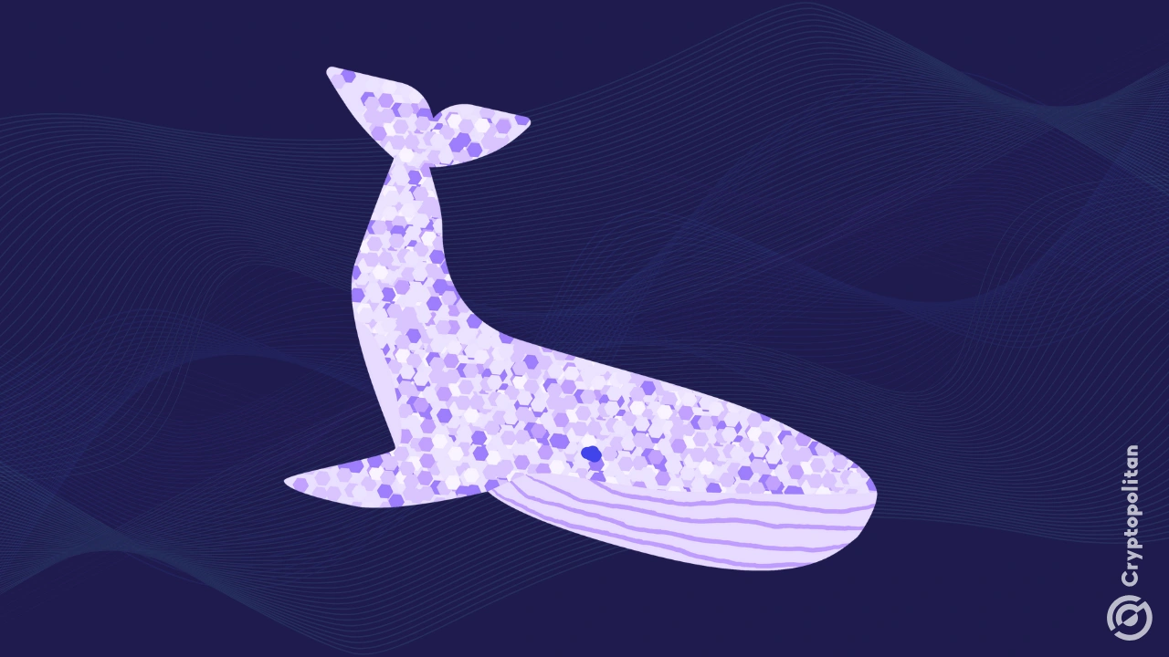 Whale snaps up $7M in XAUT amid market moves