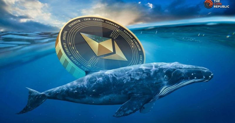 Whales dump 72 BTC to open 20x leveraged long on 12,000 ETH