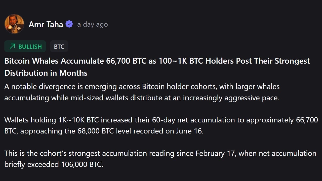 Whales vs. Mid-Tier Holders: The Dramatic Shift in Bitcoin Ownership Splitting the Market