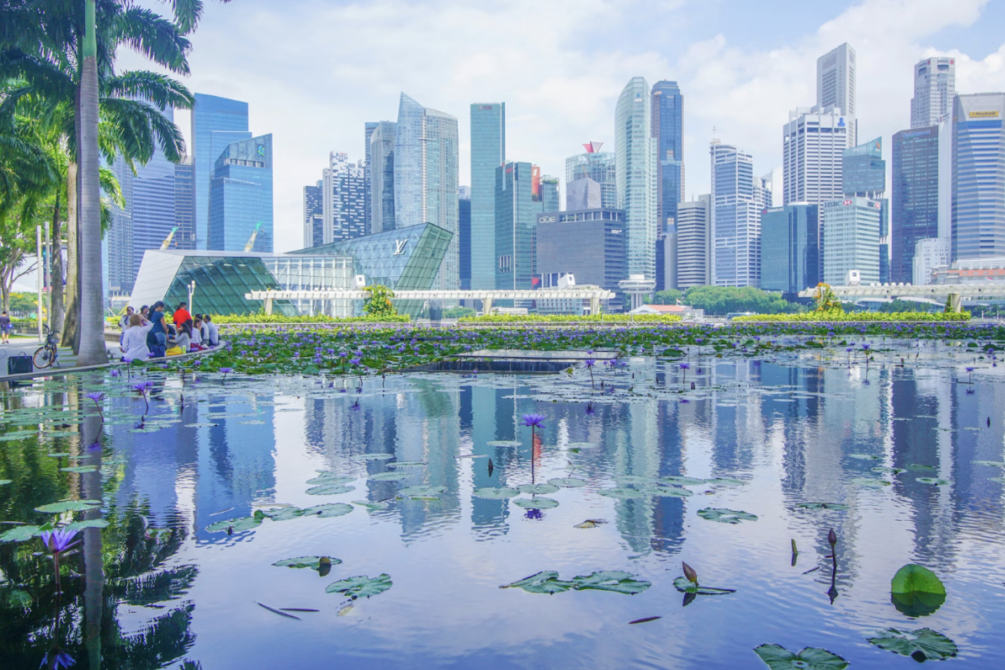 What's Going On With AMC Entertainment Stock?