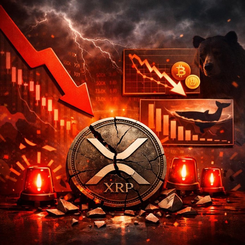What's Going Wrong With XRP? Expert Points To 2 Major Bearish Flips In These Key Metrics