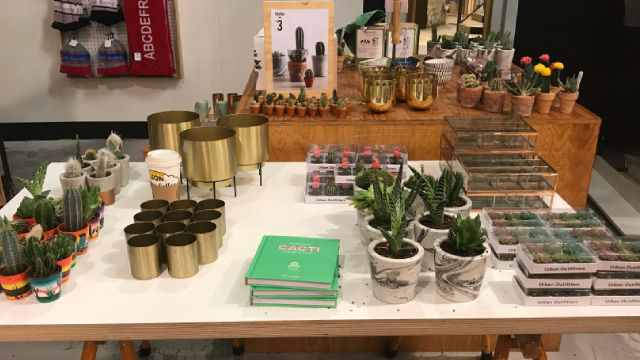 What's in Store for Packaging Corp (PKG) in Q2 Earnings?