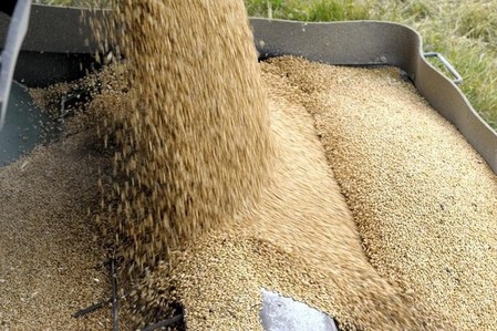 Wheat Futures Surge on Russian Crop Worries -- Daily Grain Highlights