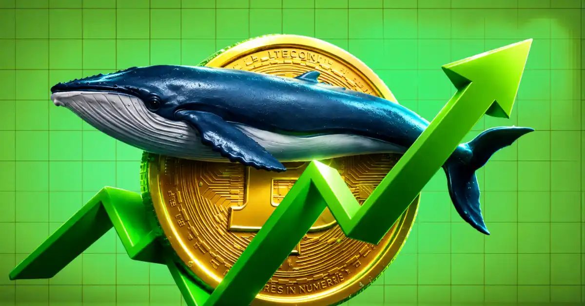 Where are Crypto Whales Buying Next After Bitcoin's Rally