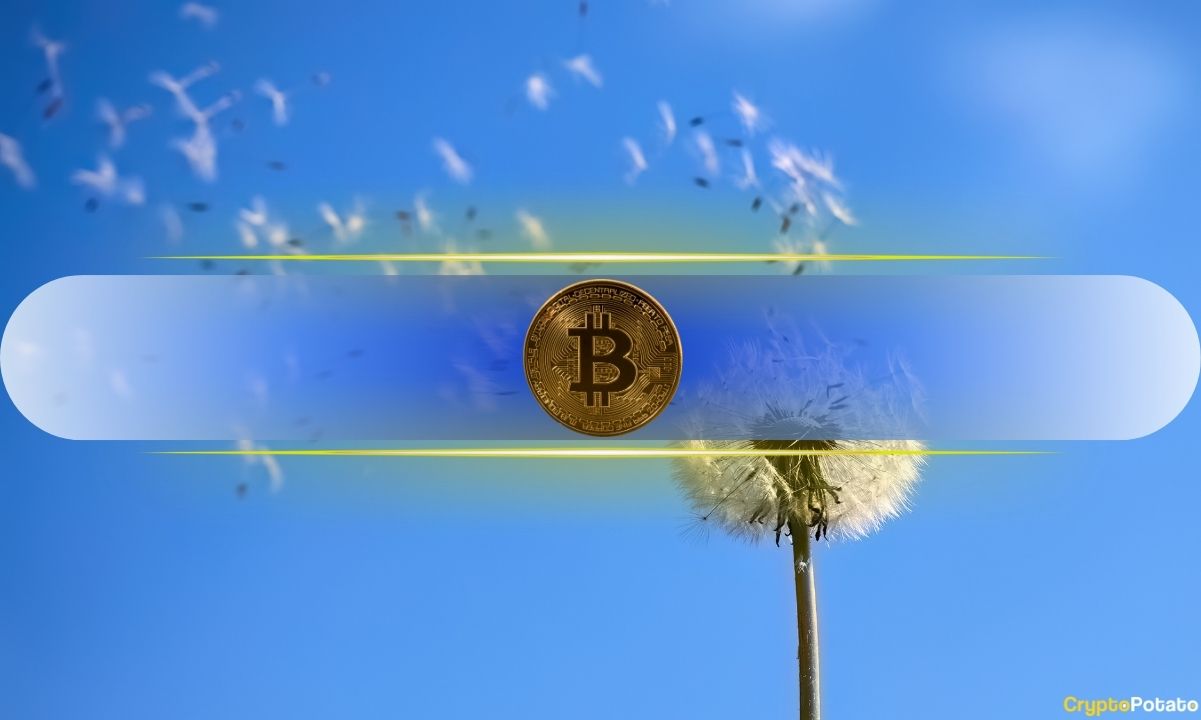 Why $80,000 Could Be Bitcoin's (BTC) Most Important Level Right Now