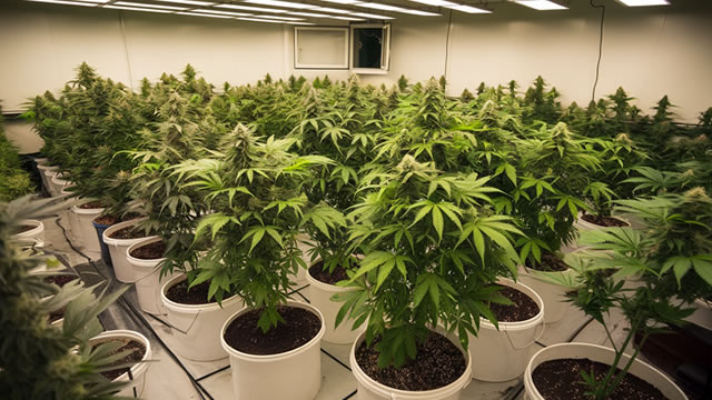 Foto von Why Curaleaf Holdings Stock Rocketed Almost 20% Higher Today