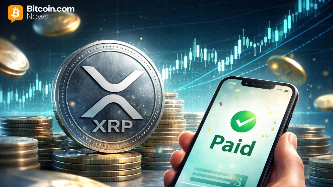 Why Higher XRP Prices Make Payments Cheaper, Ripple's Schwartz Clarifies Misconception