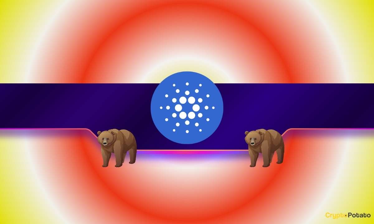 Why Is ADA's Price Down 8% Today Even as Cardano Whales Wake Up?