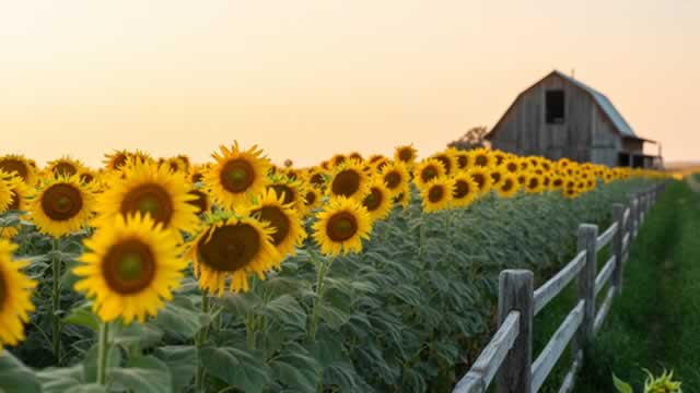 Why Scotts Miracle-Gro (SMG) is a Top Momentum Stock for the Long-Term