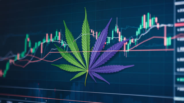 Foto von Why Tilray Stock Plummeted by 42% in 2024