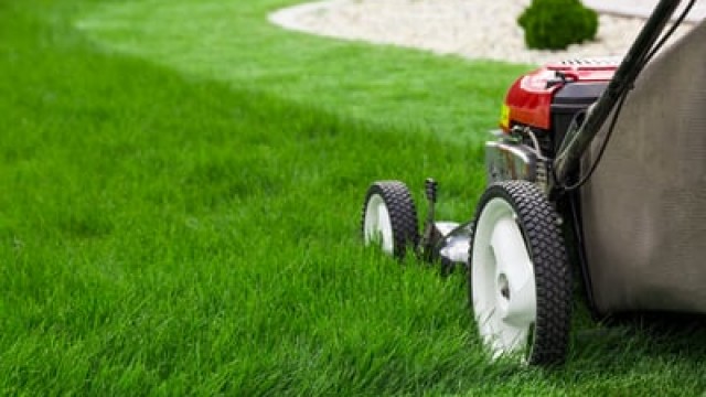 Why Toro Stock Is Moving Higher Today