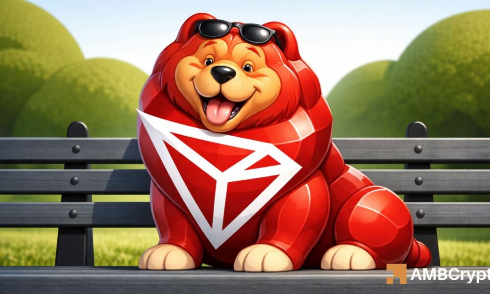 Why TRON is gearing up for $0.45 despite the market slowdown