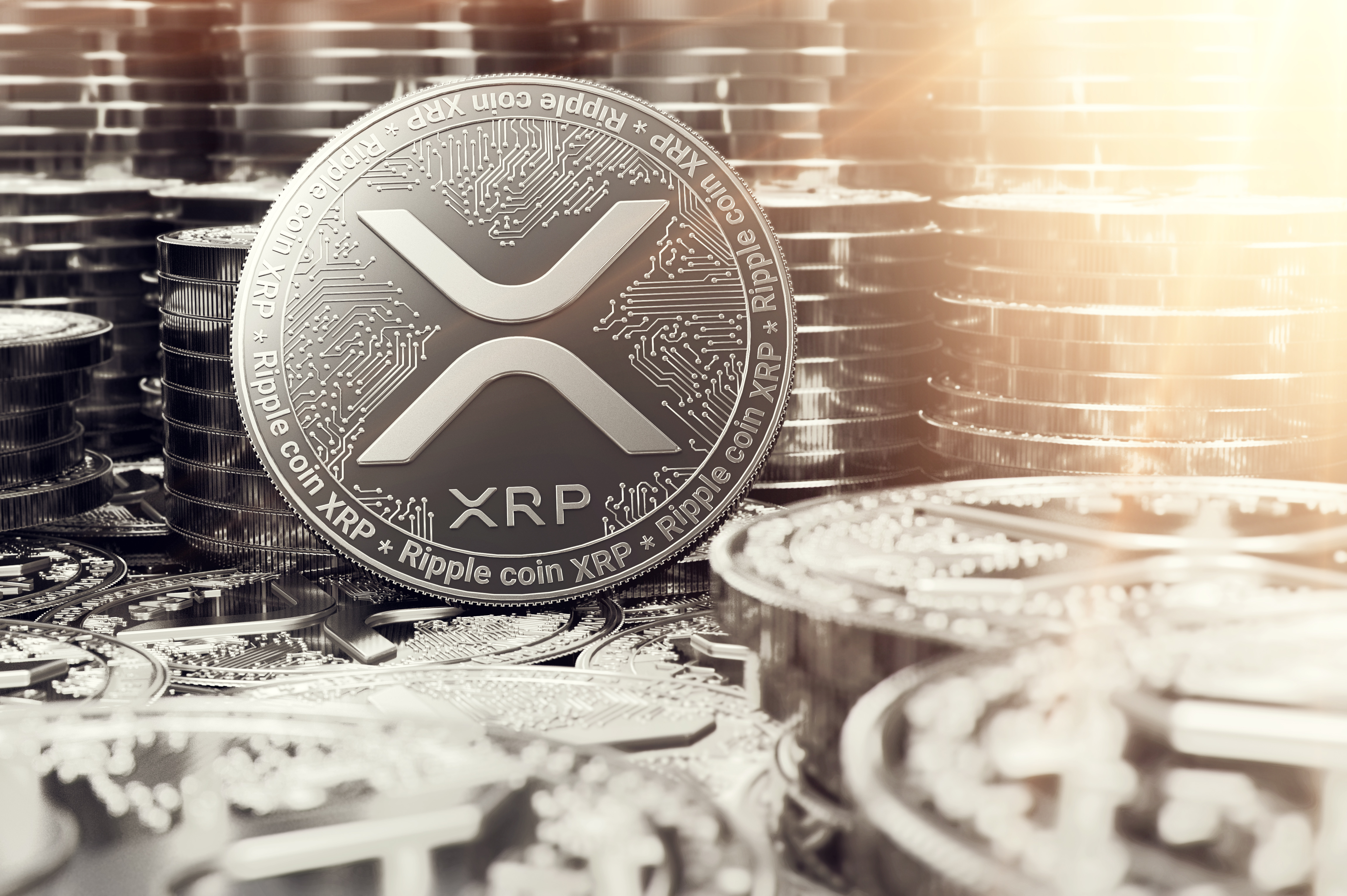 XRP ETF Race