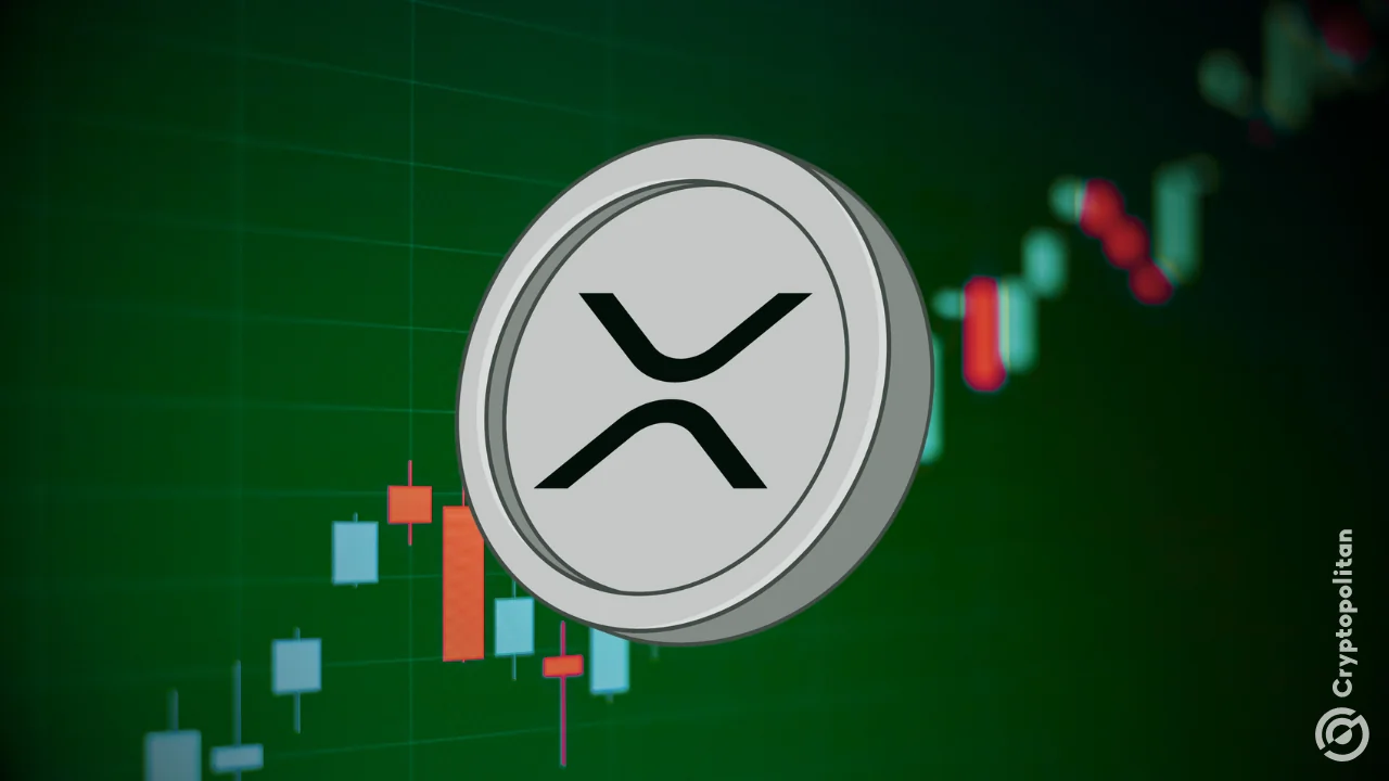 XRP daily transactions hit 3M amid investor doubts over Ripple's $50B valuation