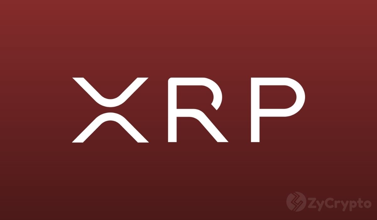 XRP Holders Deep in the Red as Losses Hit Levels Not Seen Since FTX Collapse