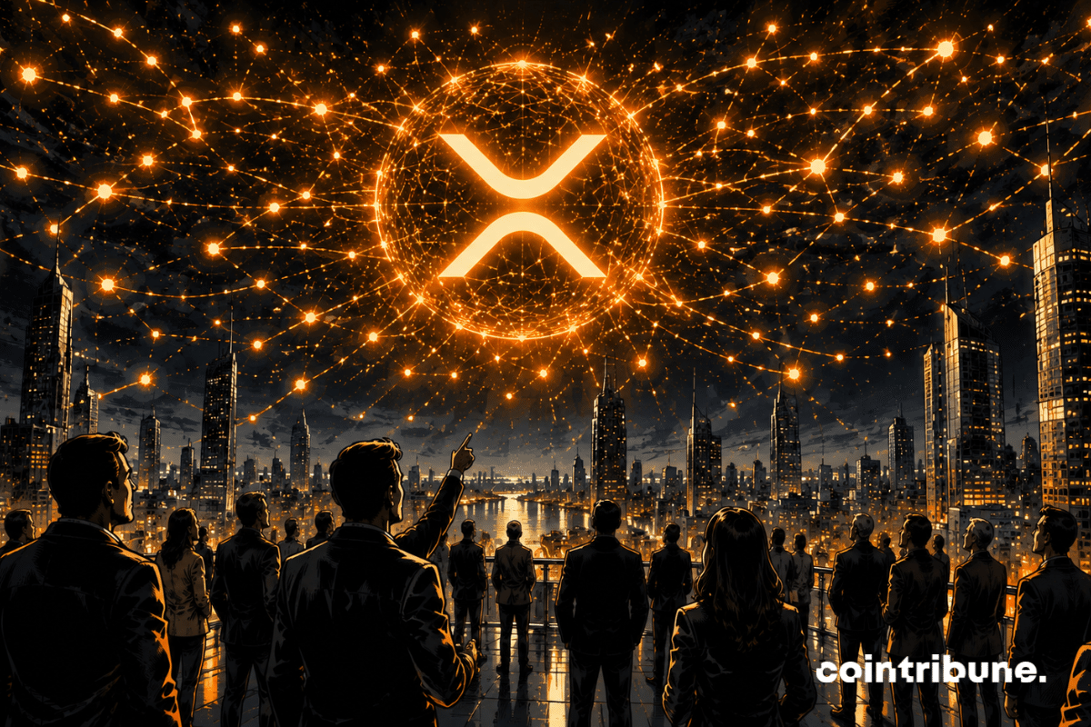 XRP Investors Focus On Long Term Accumulation