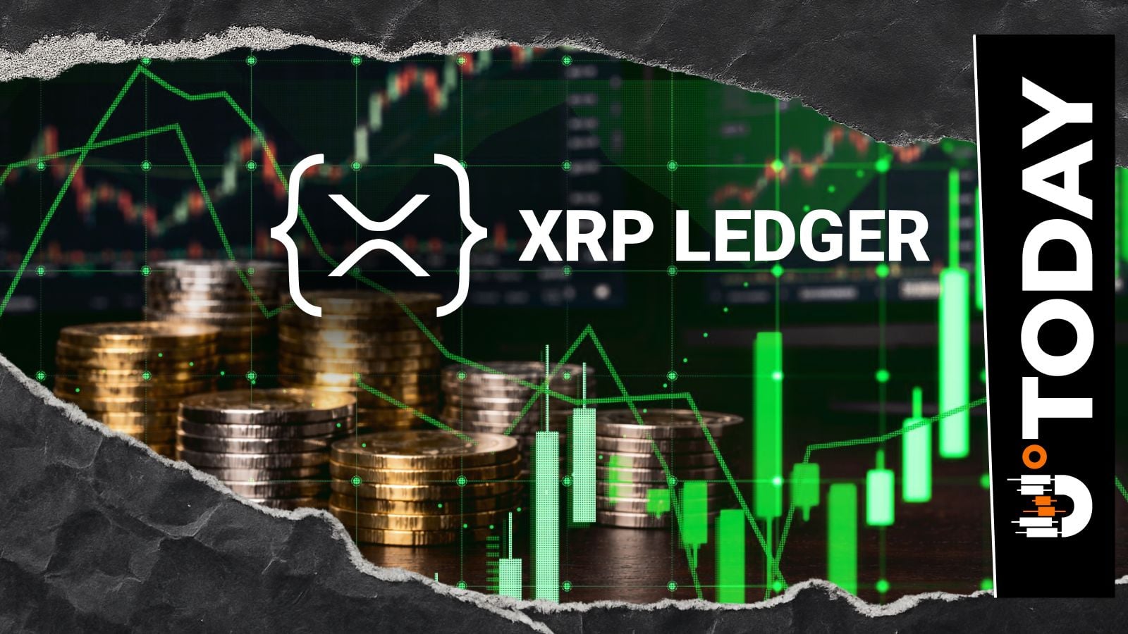XRP Ledger (XRPL) Breaks 13-Year Milestone in Nonempty Wallets as Adoption Peaks