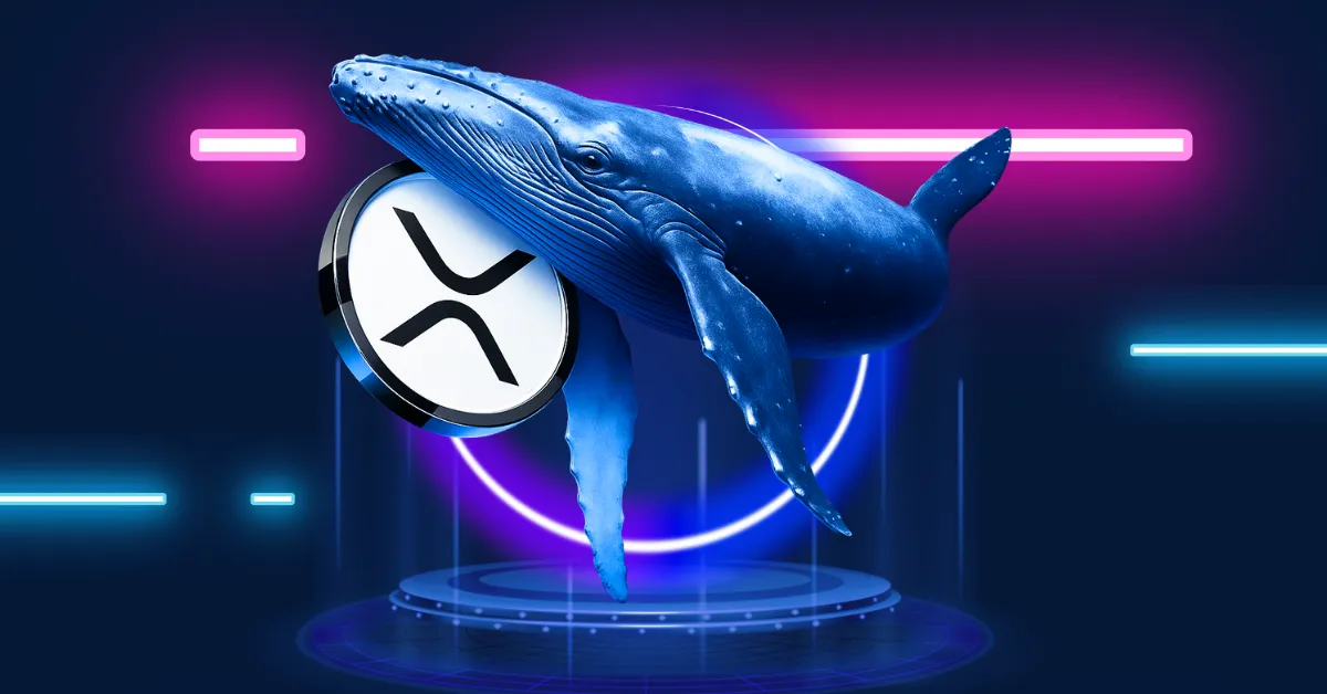 XRP News: Wallets Holding Over 1M Tokens Hit All-Time High