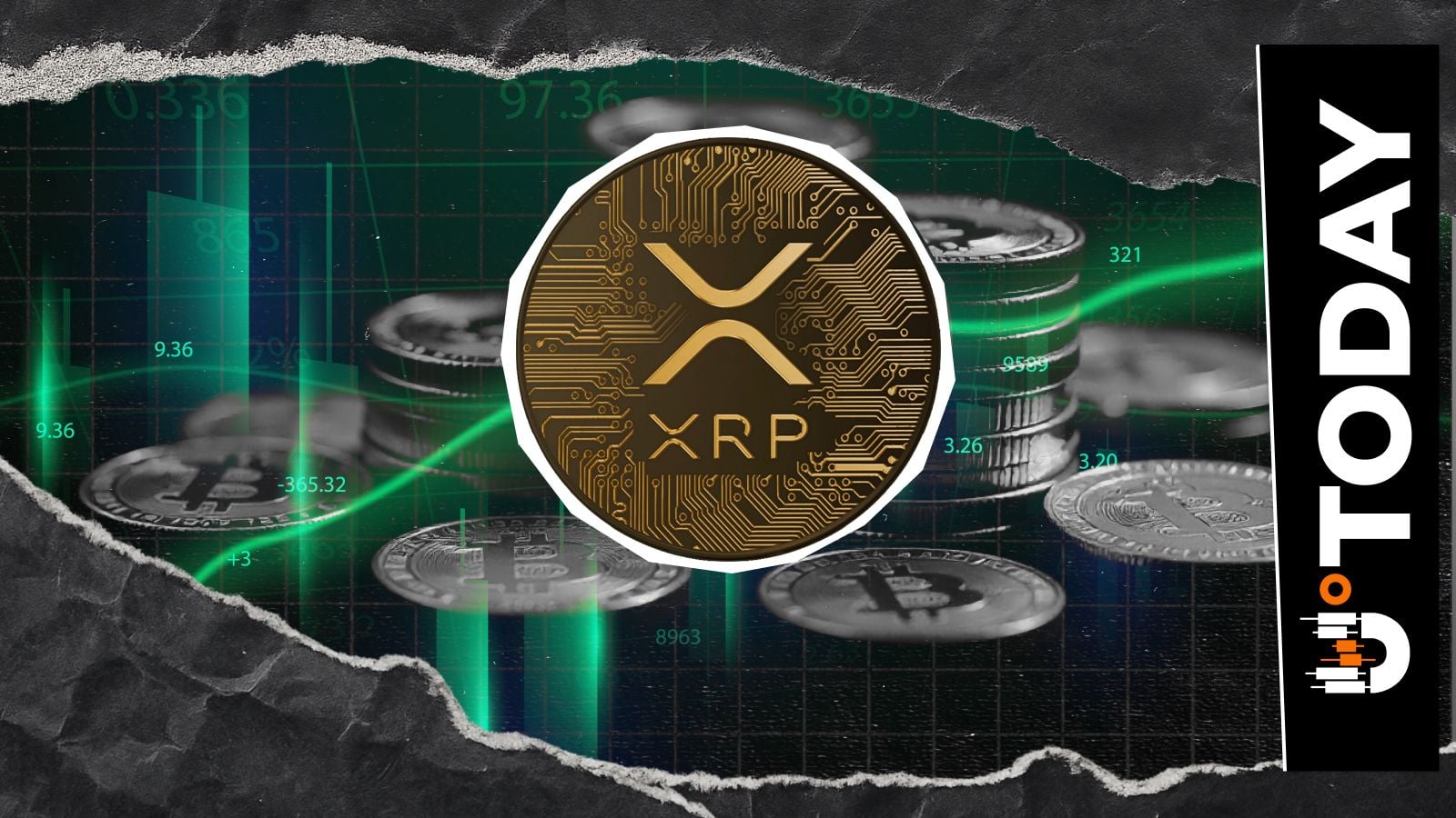 XRP OI Rises 3% as Price Gears Up for Rebound