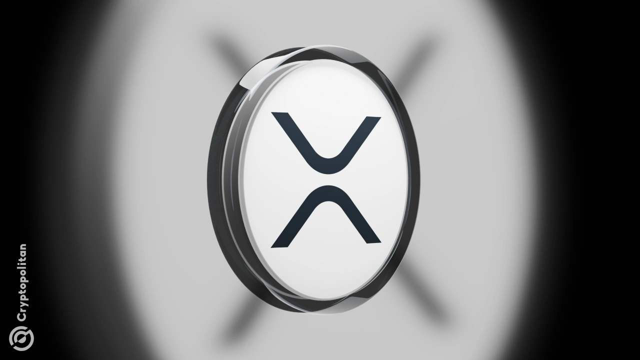 XRP real-world adoption surges as monthly transactions jump 65% in one year