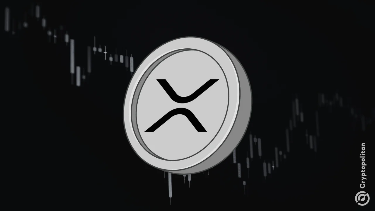 XRP rebounds 12% as crypto markets stage broad recovery