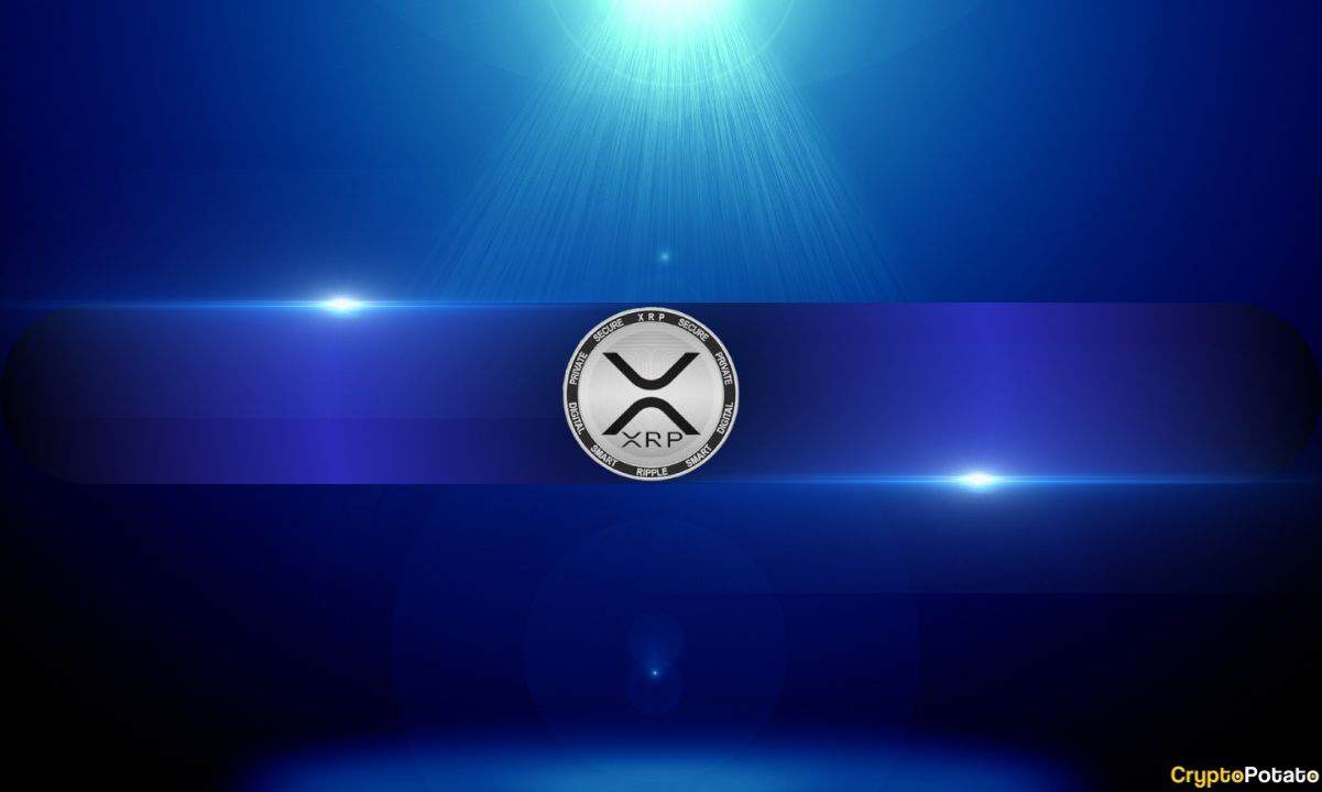 XRP Steals the Spotlight With Biggest Weekly Surge Since December 2025